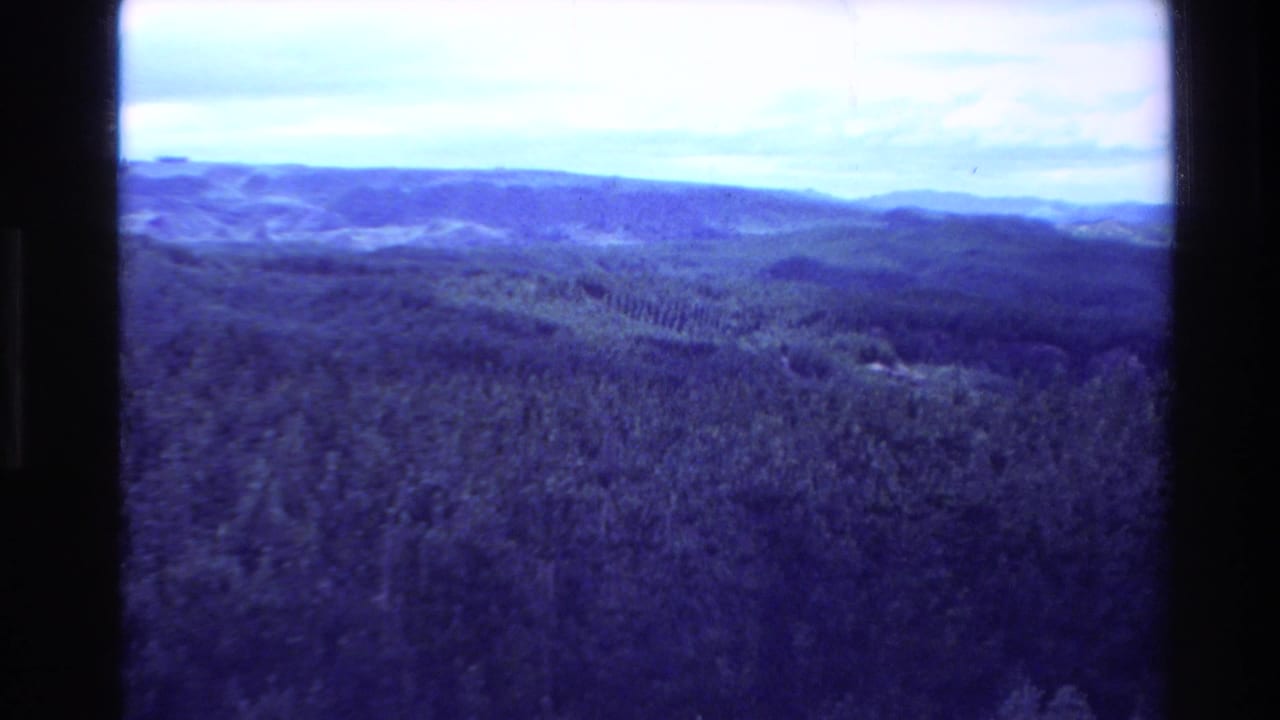 Blue-shifted 1981 New Zealand aerial frame with layered hills, dense tree cover, and a pale sky at the horizon.