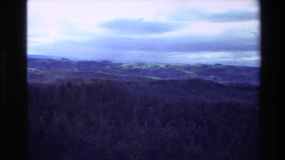 Final 1981 New Zealand aerial frame with dark forested foreground, soft hills, and a bright clouded sky in 8mm color shift.