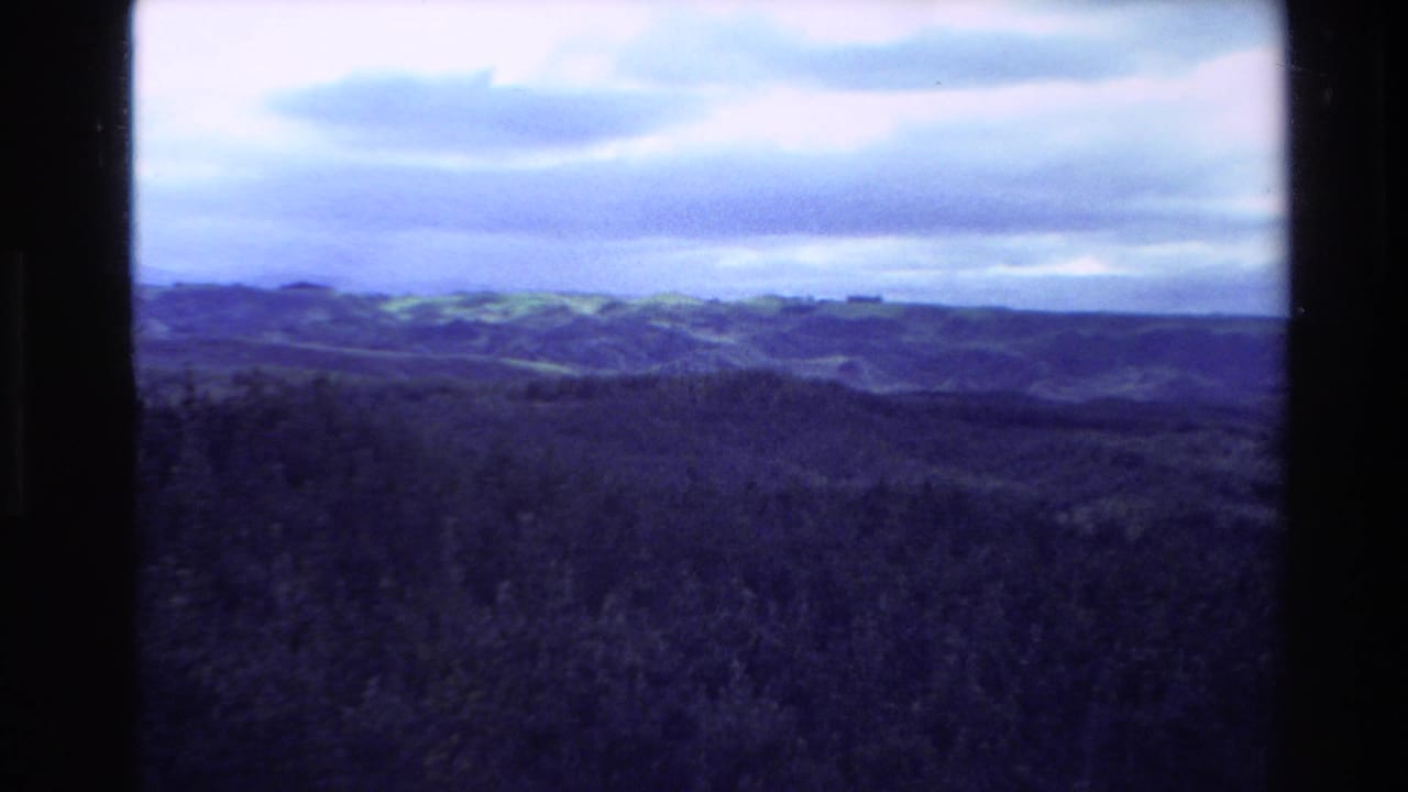 1981 New Zealand 8mm view of rolling forested hills beneath a cloudy sky, with soft color and film grain.