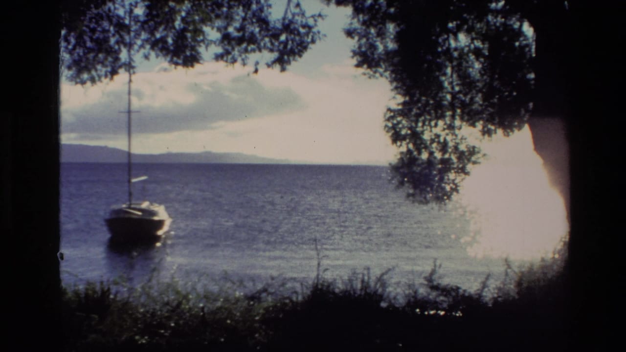 Small sailboat on a lake seen through dark tree silhouettes with bright water beyond.