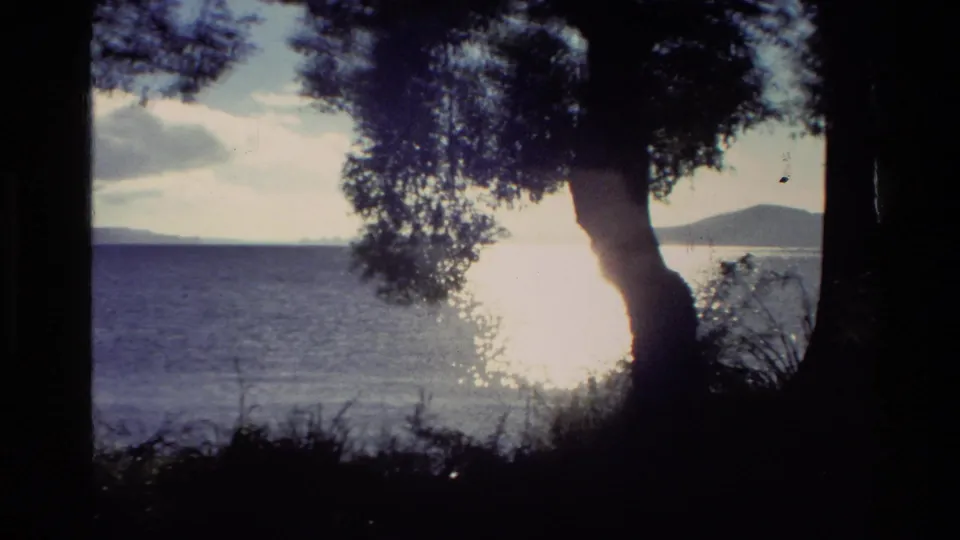 1981 New Zealand lakeside view through silhouetted trees, with strong sun glare across the water and low hills on the horizon.