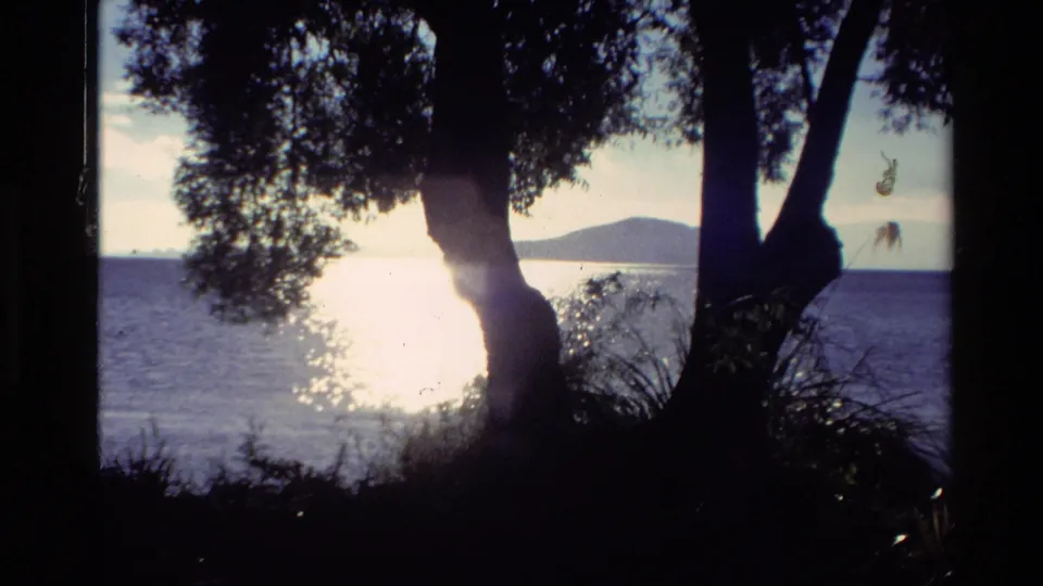 1981 New Zealand 8mm frame of a calm lake, dark foreground trees, shoreline plants, sun glare, and a rounded hill in the distance.