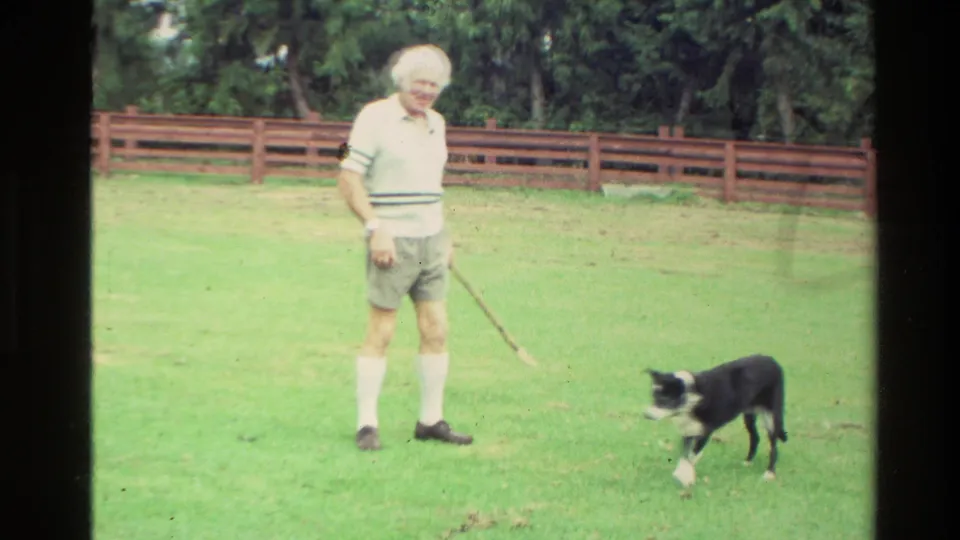 In 1981 New Zealand footage, a man in casual clothing stands on a grassy field with a black-and-white dog nearby.