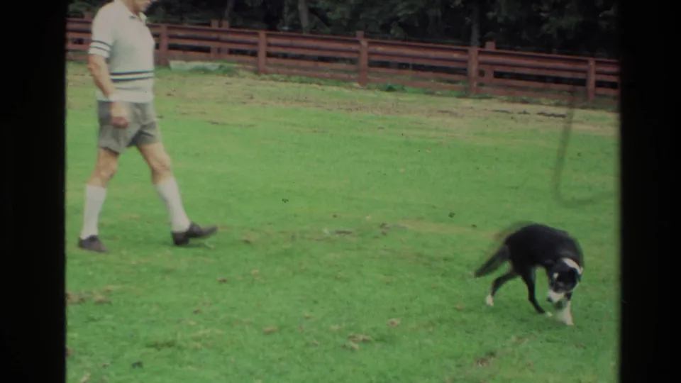 A casually dressed man walks across a grassy field while a black-and-white dog noses the ground nearby.