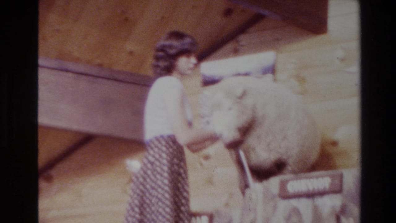 In 1981 New Zealand home-movie footage, a woman in a sleeveless top and polka-dot skirt examines a mounted sheep display indoors.