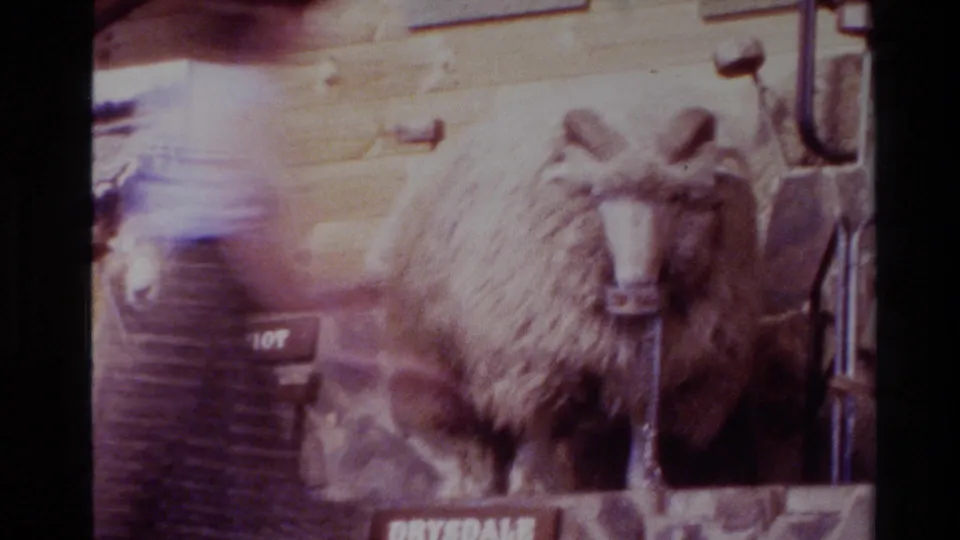 Woolly sheep stands near display labels in a wooden barn, with shearing equipment and another sheep partly visible.