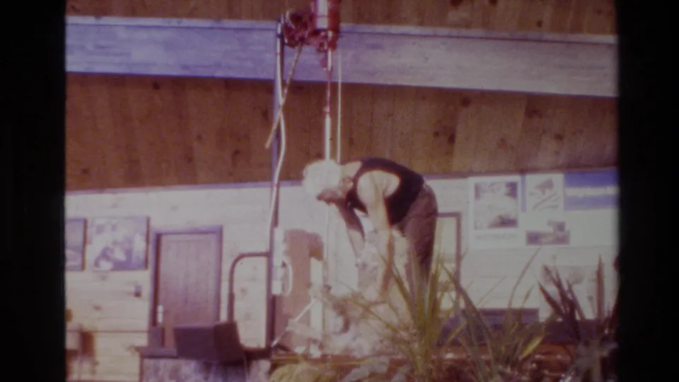 Adult man bends over a sheep beside suspended shearing gear in a wooden barn, with display signs in the background.