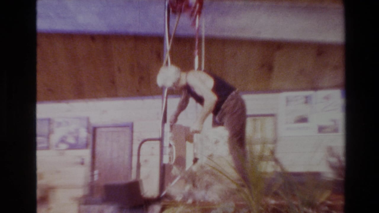 Man bends over a sheep on a wooden platform while using clippers in an indoor shed.