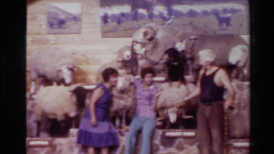 1981 New Zealand 8mm frame showing three people beside taxidermied sheep, breed labels, and wall photographs in a wooden display space.