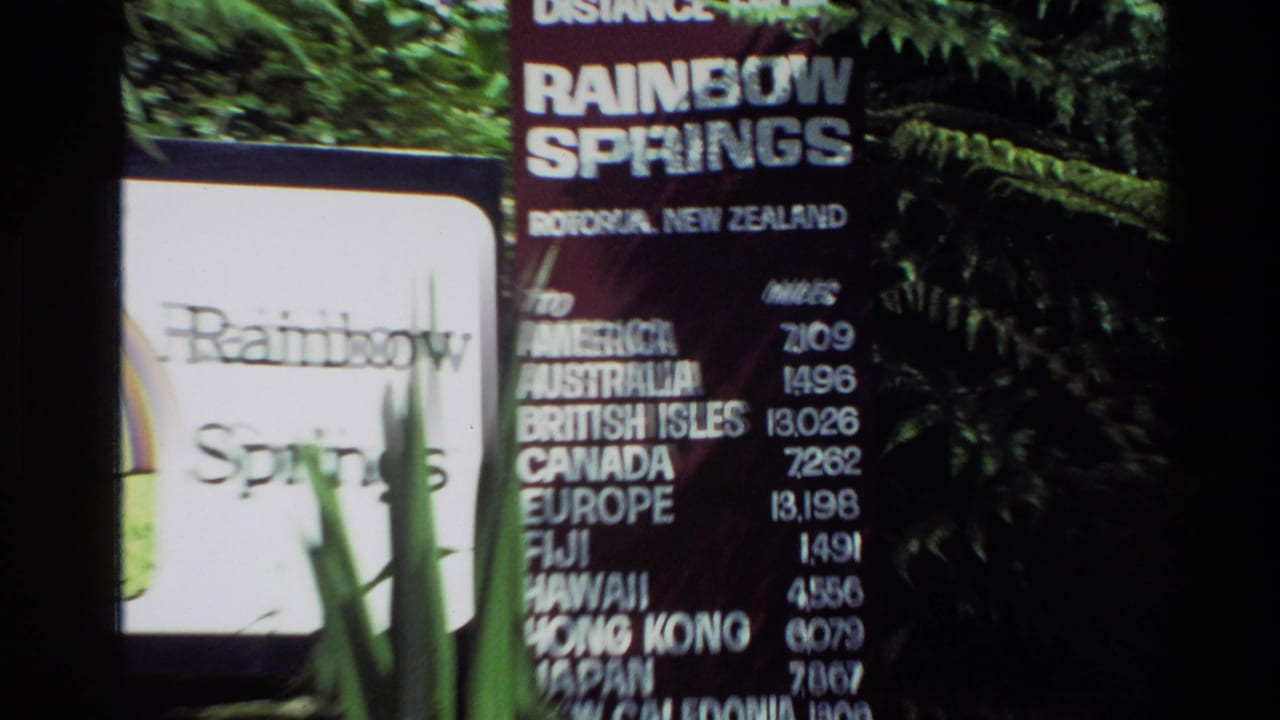 Rainbow Springs sign partly obscured by plants beside a mileage board in dense greenery.