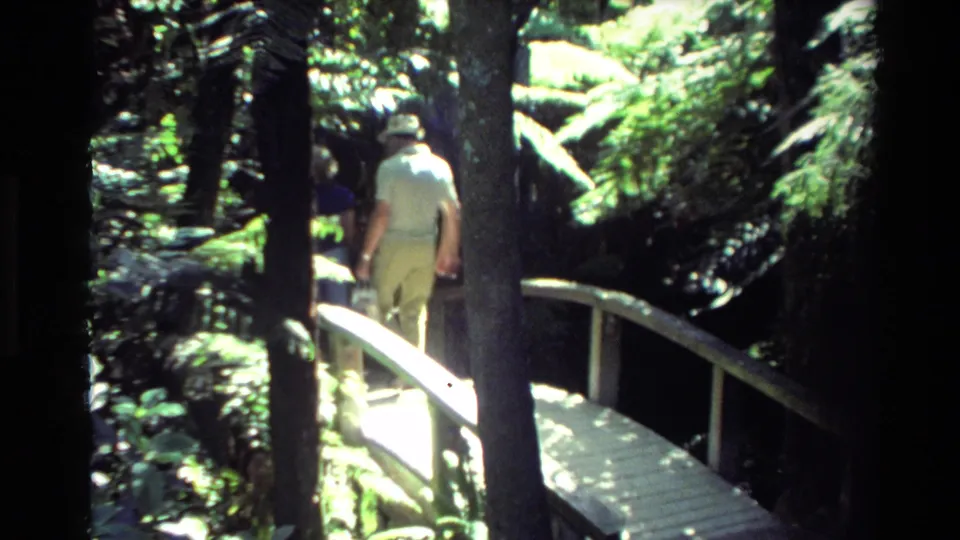 Visitors walk over a wooden footbridge through dense greenery at Rainbow Springs in Rotorua, New Zealand, in 1981 home-movie footage.