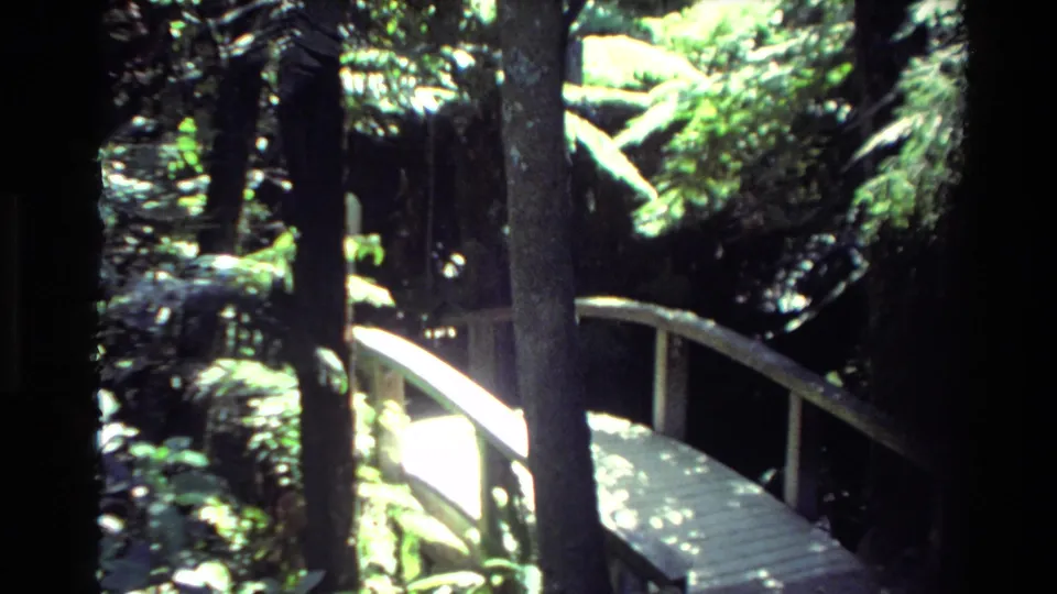 A wooden bridge curves through ferny shaded grounds at Rainbow Springs, with an adult visitor partly visible among trees.