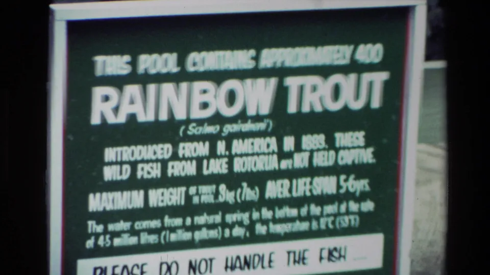 A green display sign identifies rainbow trout next to the tank, with text about origin, weight and lifespan partly visible.