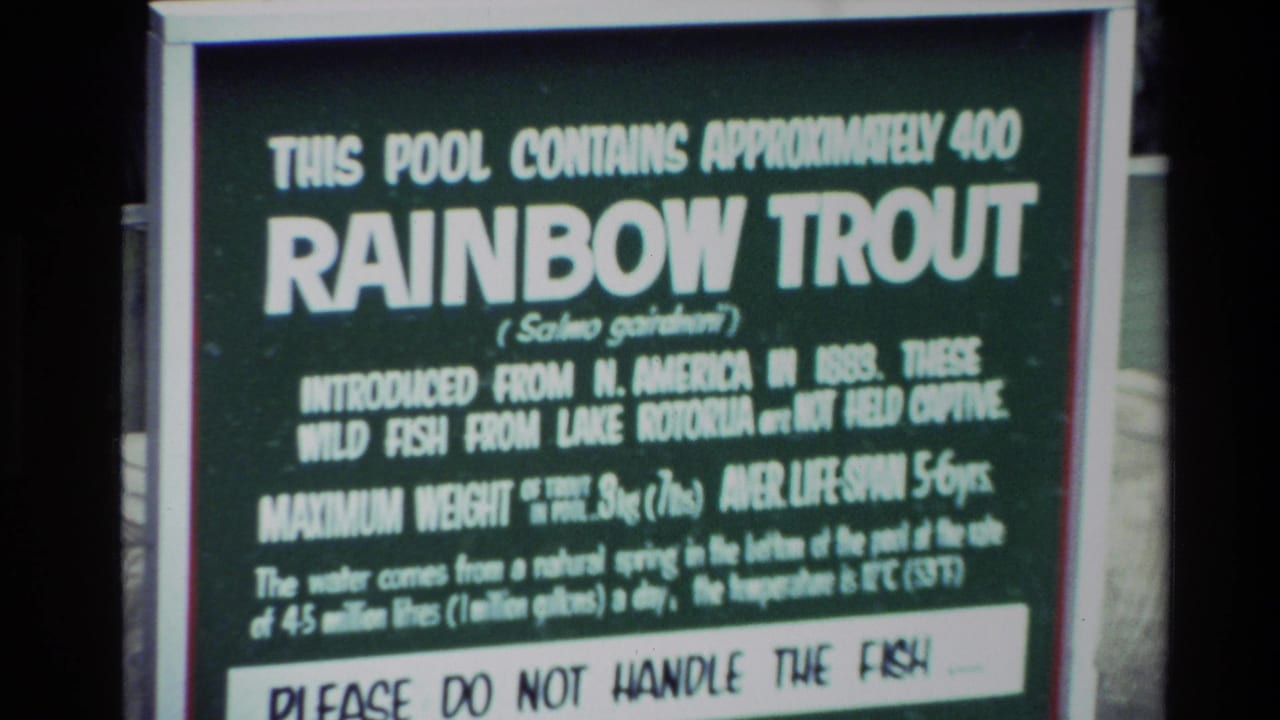 1981 New Zealand 8mm frame showing a readable rainbow trout information sign beside a managed pool.