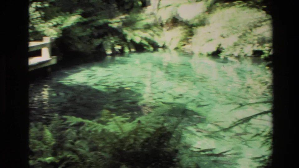 The camera looks across clear green-blue water toward ferns, rocks, and a wooden platform in New Zealand home-movie footage.