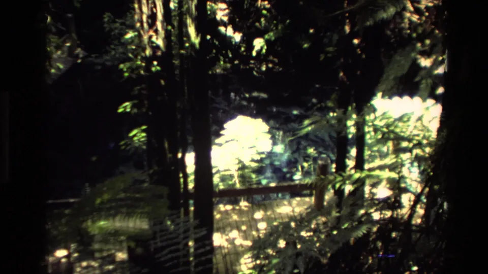 1981 New Zealand 8mm frame showing shaded foliage beside bright reflective pond water, likely from the same home-movie setting.