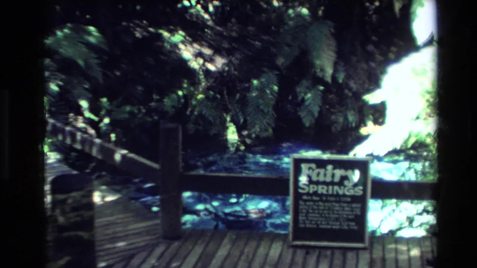 A readable Fairy Springs sign stands near a wooden boardwalk, shaded foliage, and a bright spring or water feature.