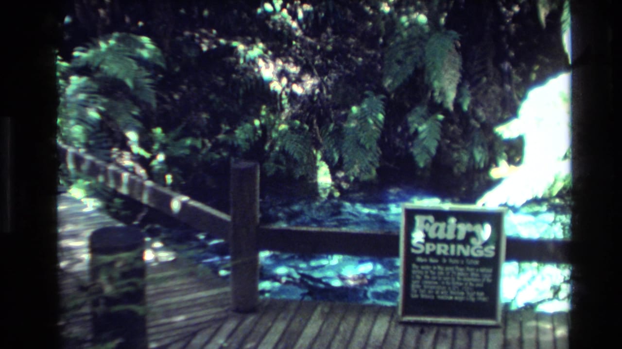 1981 New Zealand 8mm frame showing a Fairy Springs sign near a timber boardwalk, greenery and bright water beyond.