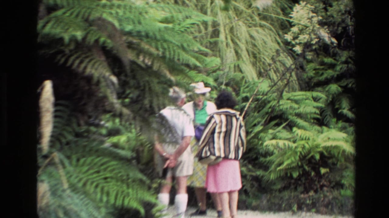 Three adults standing on a path surrounded by tall ferns.