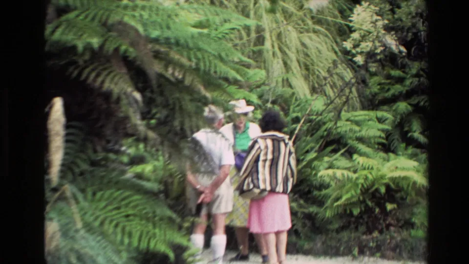 Three adult visitors appear to converse on a New Zealand forest path surrounded by tall ferns and dense greenery.