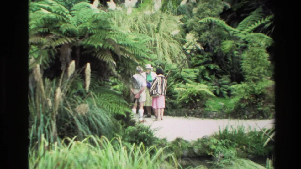 A wider 1981 New Zealand view shows three visitors standing on a pale path amid tall grasses, ferns, and dense plantings.
