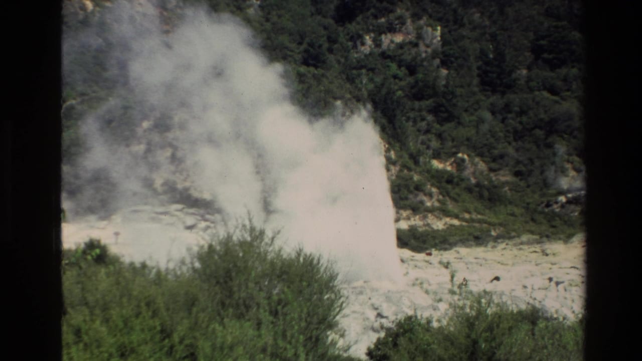 Dense geyser steam rises beside shrubs with wooded hillside and rocky terrain in the background.