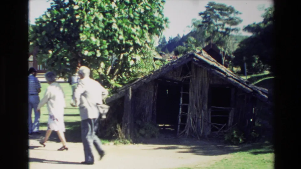 1981 New Zealand home-movie frame showing visitors walking past a rustic thatched hut in a landscaped outdoor setting.