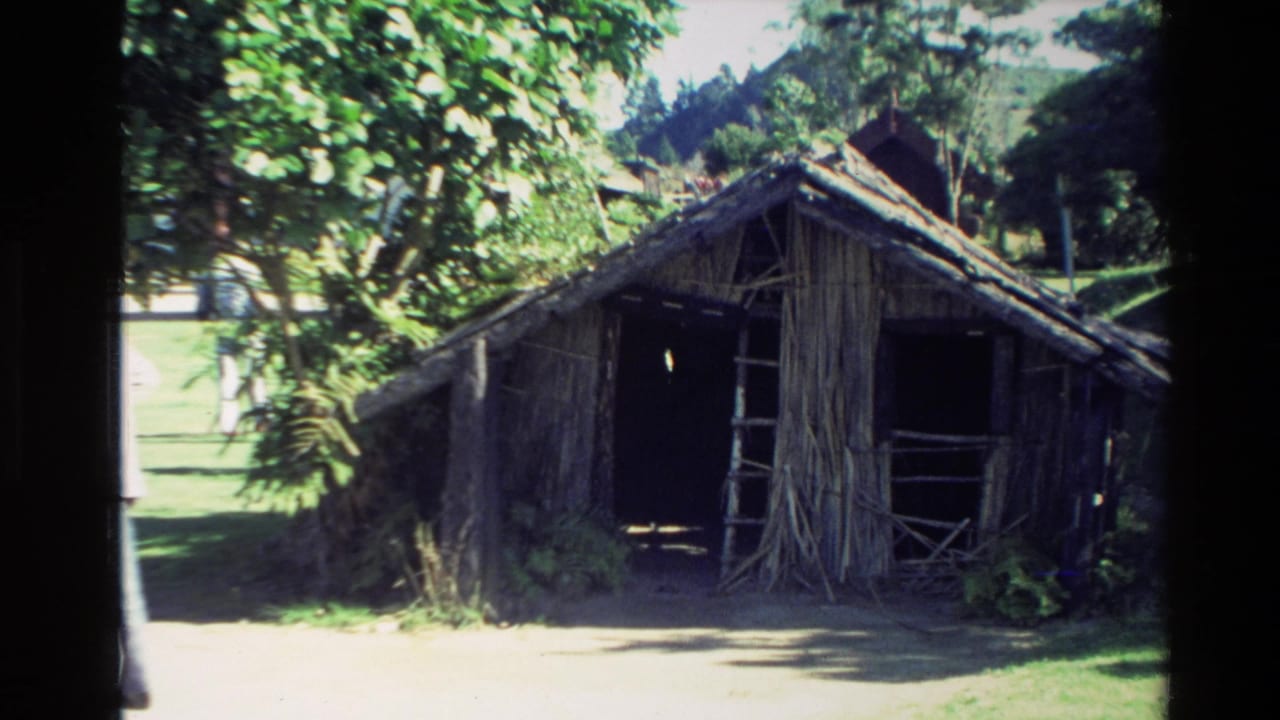 Rustic wooden shack with rough roof partly shaded by trees.