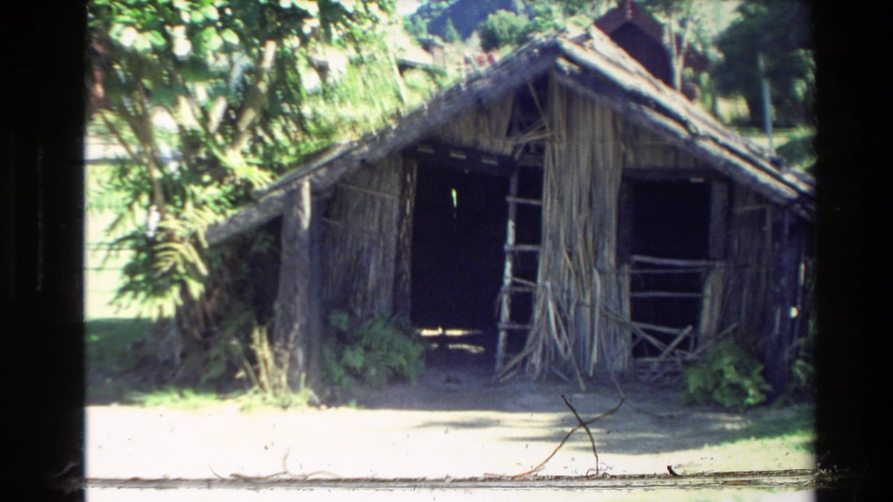 1981 New Zealand frame of a weathered wooden shack, showing rough wall materials, an open doorway, railings, foliage, and bright ground.