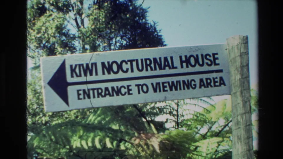 1981 New Zealand visitor-shot frame showing a Kiwi Nocturnal House directional sign pointing left toward the entrance to the viewing area.