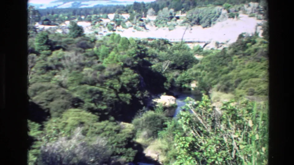1981 New Zealand 8mm frame showing a bright forested valley with a river channel, open pale ground, and distant hillside structures.