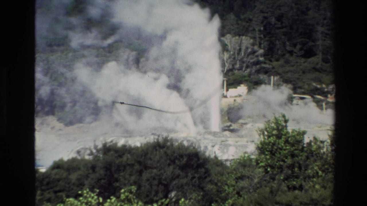 Geyser water and steam plume rising behind shrubs and pale rocky ground.