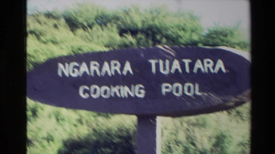 1981 New Zealand 8mm frame showing a readable wooden sign for Ngarara Tuatara Cooking Pool with greenery behind it.