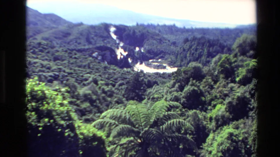 1981 New Zealand 8mm view of dense green forest, fern-like vegetation, and a bright winding river or waterfall through the valley.