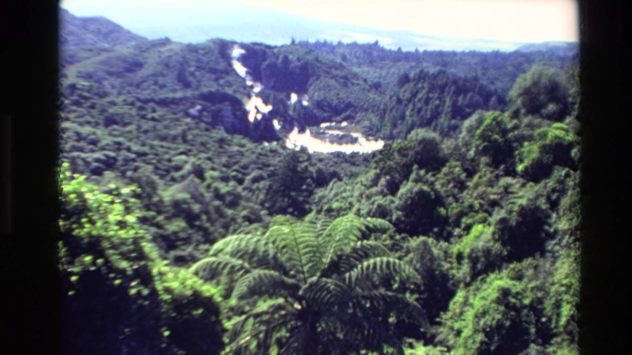 1981 New Zealand 8mm frame showing green hills, dense forest, and steam rising from Waimangu's geothermal terrain.