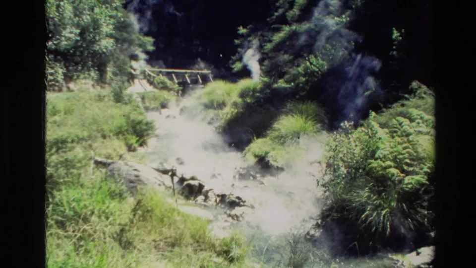 1981 New Zealand 8mm frame showing steam vents among dense vegetation with a wooden walkway in the background.