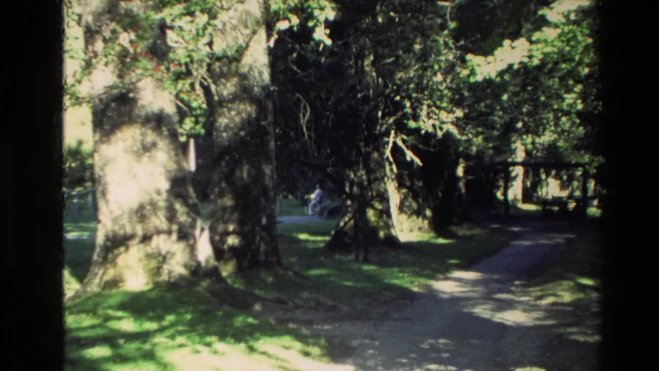 1981 New Zealand visitor-shot frame of a shaded path through large trees at the Te Wairoa Buried Village grounds.