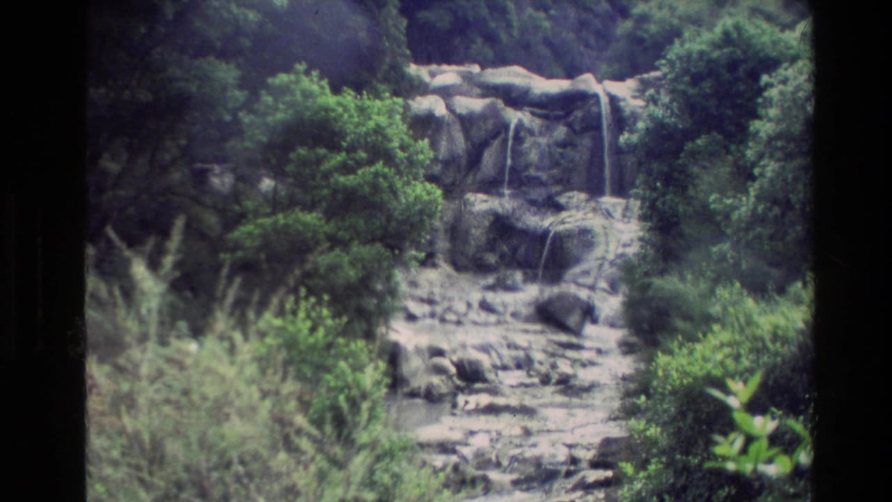 Small waterfall cascading over rocks among dense green vegetation.
