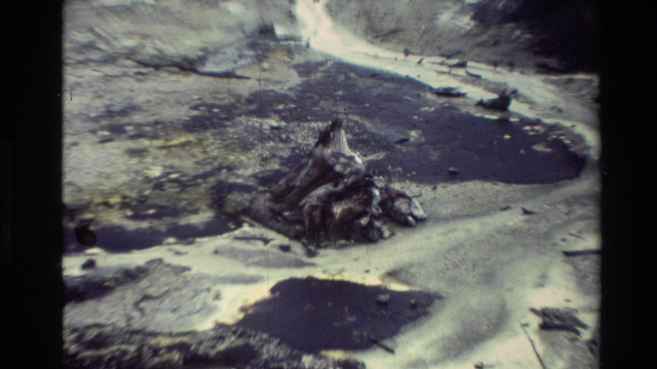 1981 New Zealand 8mm frame showing scorched ground, pale mineral or ash deposits, dark pools, and a charred stump.