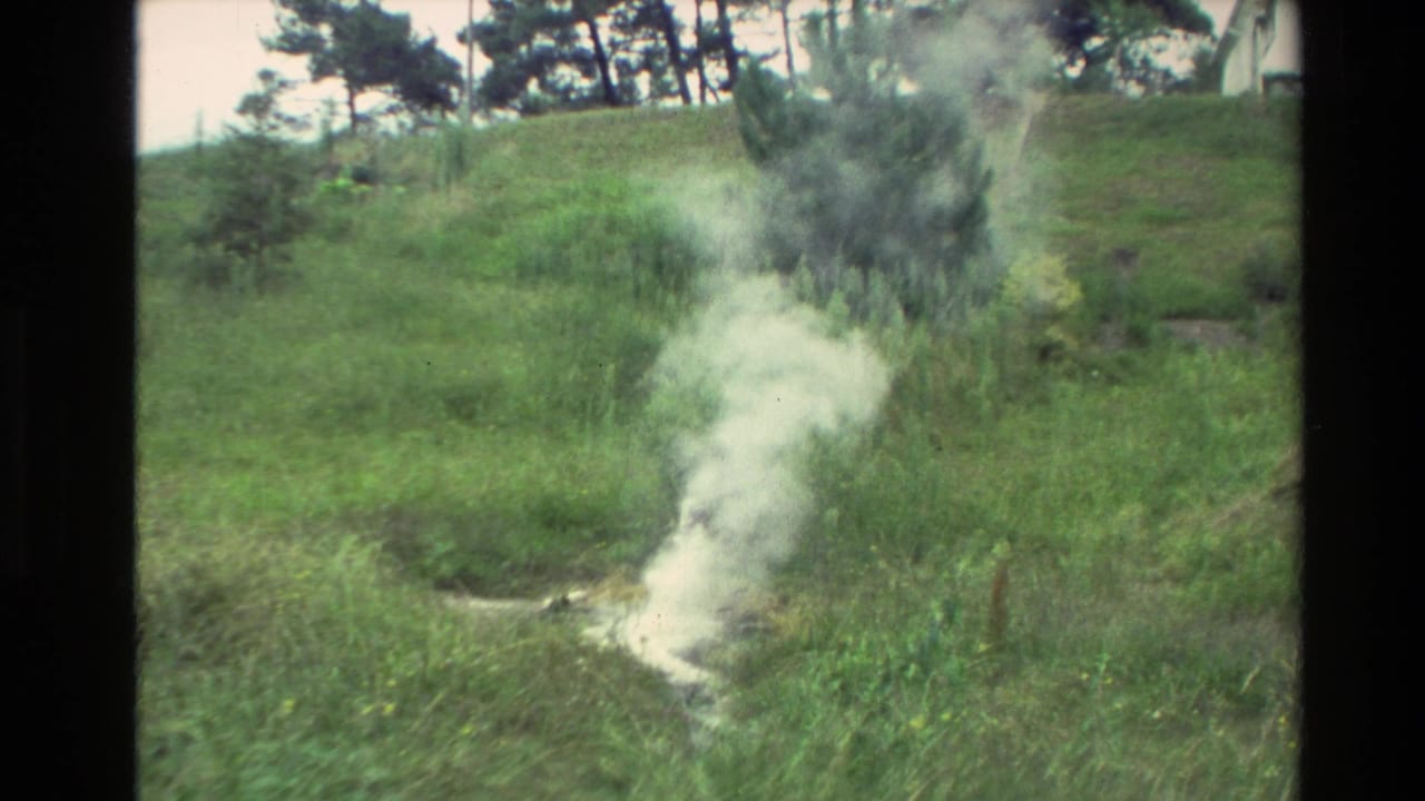 Steam rises from a small vent in a grassy hillside below trees.