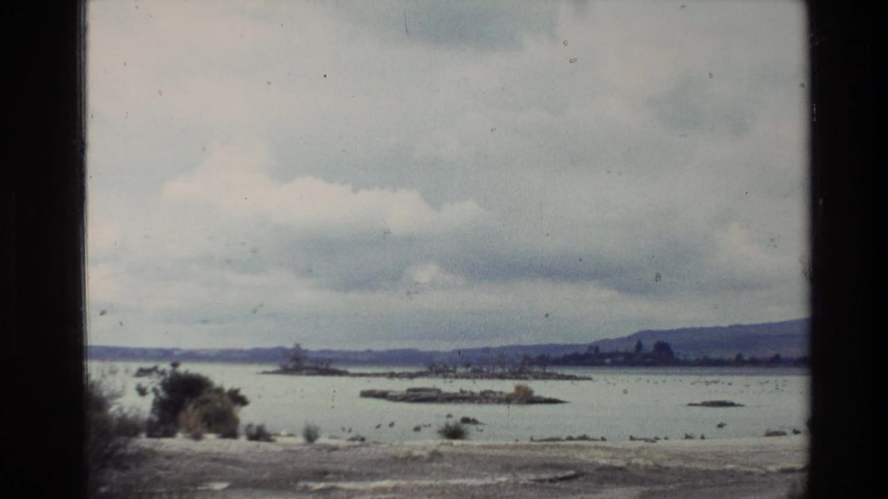 1981 New Zealand 8mm view across a pale lake or geothermal basin near Wairakei, with low scrub, distant hills, and birds in flight.