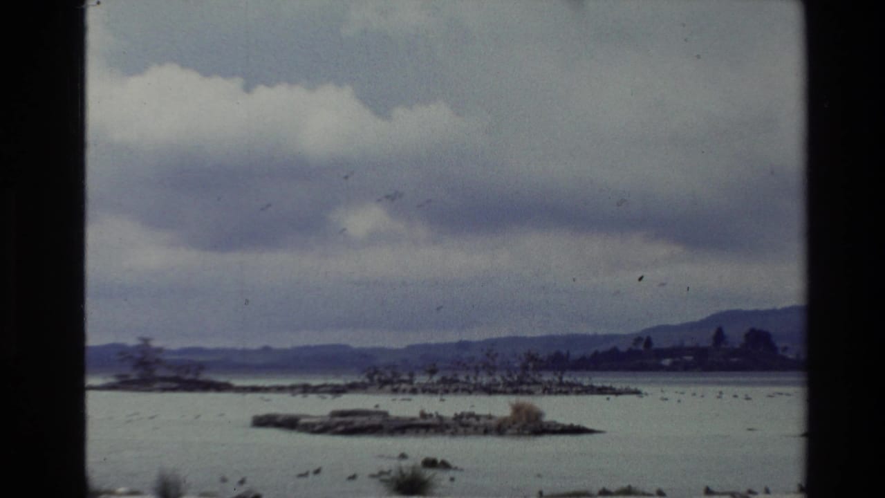 Wide cloudy landscape with water, low islands or shore, and many birds.