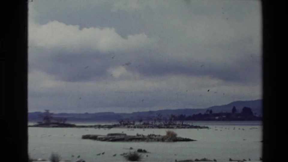 Wide 8mm landscape in New Zealand showing pale water or geothermal basin, low shoreforms, distant hills, and a cluster of birds overhead.