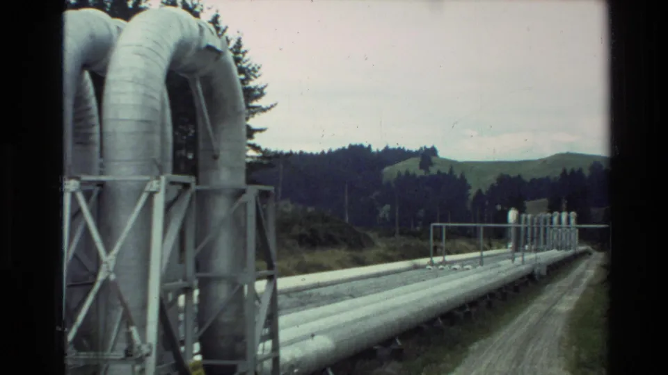 1981 New Zealand 8mm frame showing insulated pipes stretching beside a dirt access road toward forested hills.
