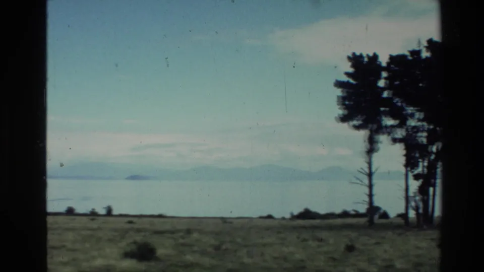 1981 New Zealand home-movie frame looking across a grassy field to calm water and distant mountains, with pine trees partly in frame.
