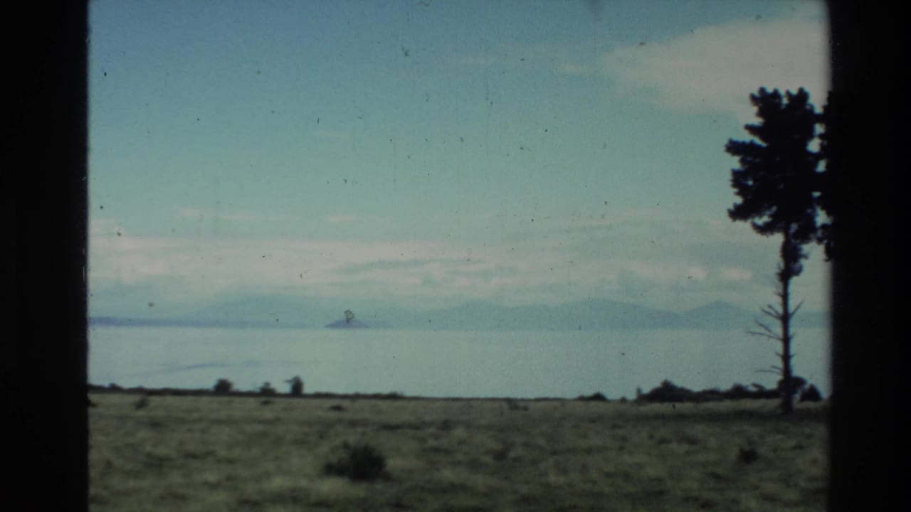 1981 New Zealand 8mm frame showing a grassy plain, calm water, distant shoreline, and a silhouetted tree through dark vertical framing.