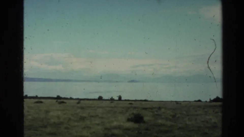 1981 New Zealand 8mm view across a grassy plain to calm water, with a small distant island or headland below a faded blue sky.