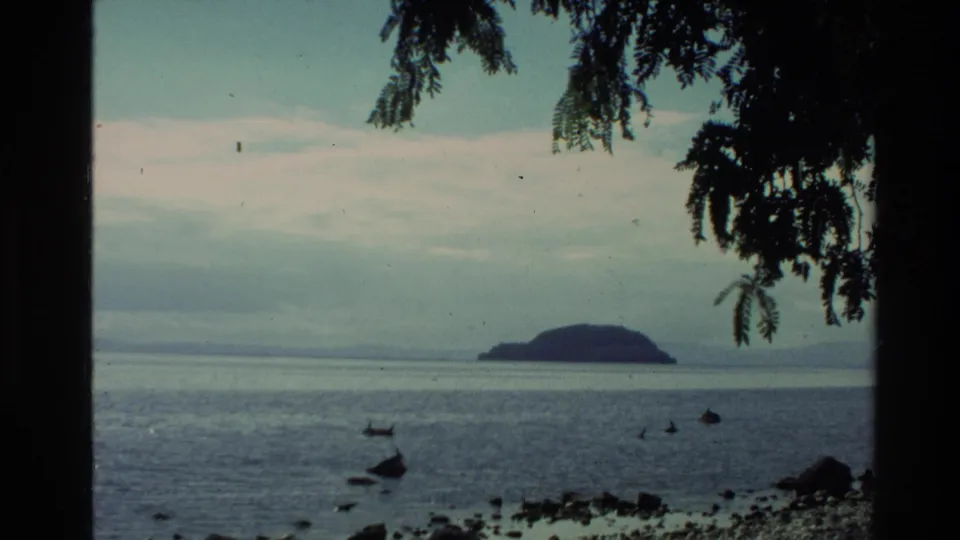 1981 New Zealand 8mm frame showing a rocky shoreline, calm water, low island or headland, and dark overhanging tree branches.