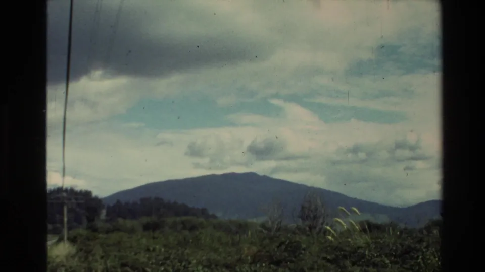 New Zealand landscape view from 1981 with green foreground vegetation, a dark mountain ridge, and clouded sky on 8mm film.