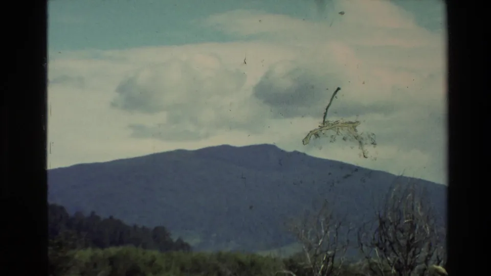 1981 New Zealand 8mm frame showing a distant pine-covered mountain ridge under heavy clouds, with bare foreground branches and film wear visible.